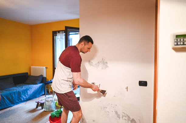 Best Localized Mold Remediation (e.g., coastal areas, humid climates) in Watertown, TN